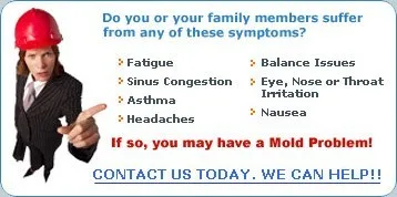 symptoms of a mold infestation woman in hardhat pointing